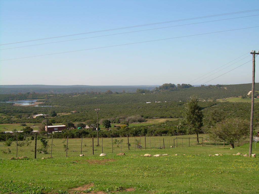 The Hexagon Wildlife Conservation Hotel Uitenhage Екстериор снимка